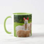 Alpacas mit roten Rassen Tasse (Links)