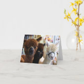 Alpacas Notecard Karte (Gelbe Blume)