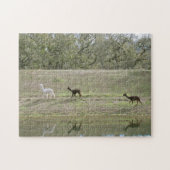 Alpacas on the Hill Puzzle (Horizontal)