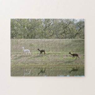 Alpacas on the Hill Puzzle