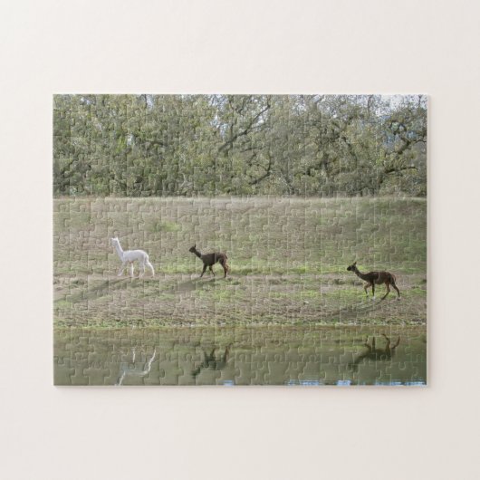 Alpacas on the Hill Puzzle (Horizontal)