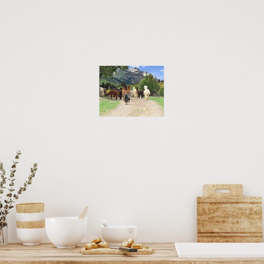 Alpacas Poster (Küche)