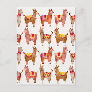 Alpacas Postkarte