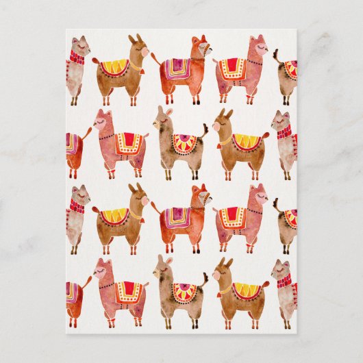 Alpacas Postkarte (Vorderseite)