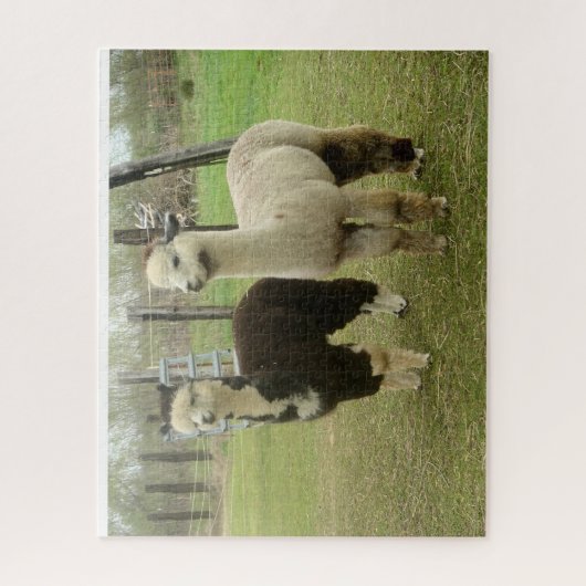 Alpacas Puzzle (Vertikal)