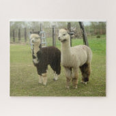 Alpacas Puzzle (Horizontal)