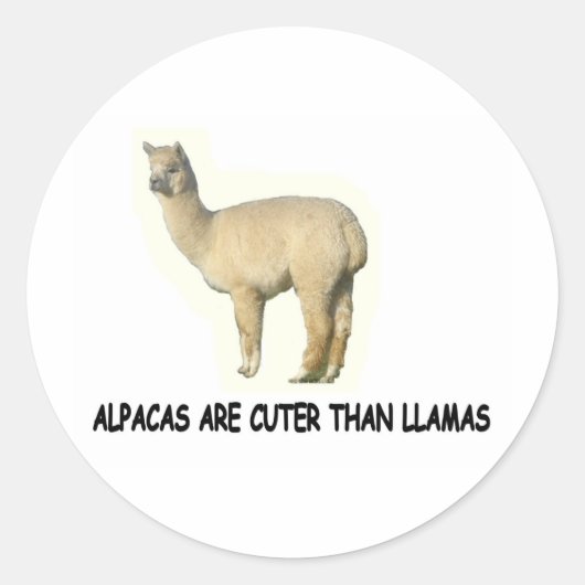 Alpacas sind niedlich als Lamas Runder Aufkleber (Vorderseite)