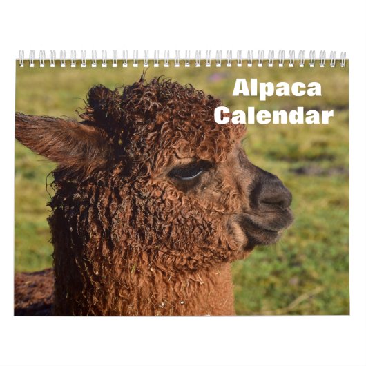 Alpaka 2027 kalender (Titelbild)