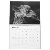 Alpaka 2027 kalender (Mär 2027)