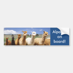 Alpaka-Autoaufkleber-Alpakas an Bord Autoaufkleber