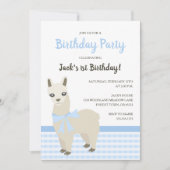 Alpaka-blaue Geburtstags-Party Einladung (Vorderseite)