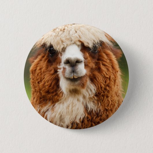 Alpaka Button (Vorderseite)
