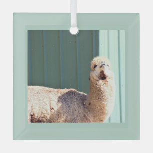 Alpaka-Foto-Ornament Ornament Aus Glas