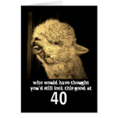 Alpaka-Foto-Spaß (Vorne)