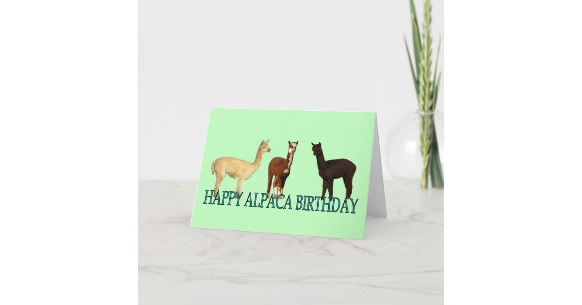 AlpakaGeburtstag Karte Zazzle.de