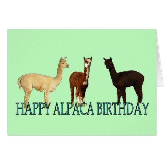 AlpakaGeburtstag Karte Zazzle