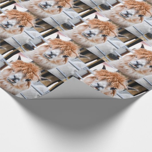 Alpaka Geschenkpapier (Ecke)