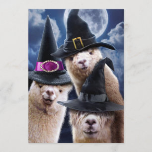 Alpaka-Hexen Einladung