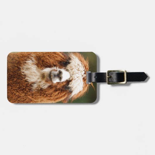 Alpaka-Lächeln Gepäckanhänger (Vorderseite horizontal)