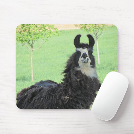 Alpaka, LamaMausunterlage Mousepad (Mit Mouse)