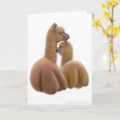 Alpaka-Liebe-Gruß-Karte Karte (Gelbe Blume)