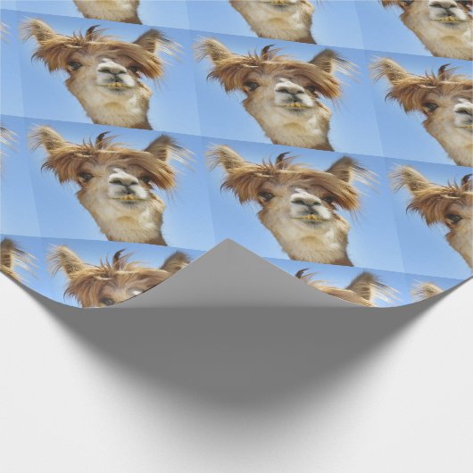 Alpaka mit dem verrückten Haar Geschenkpapier (Ecke)