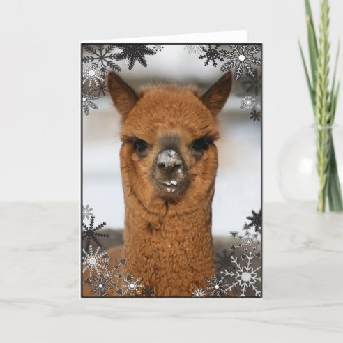Alpaka Karten | Zazzle.de