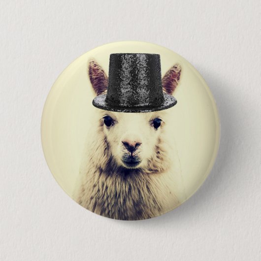 Alpaka mit Zylinder Button (Vorderseite)