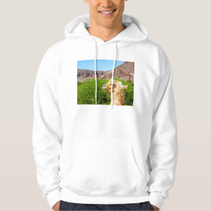 Alpaka nahe Salta, Argentinien Hoodie
