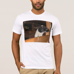 Alpaka nicht ein Lama T-Shirt