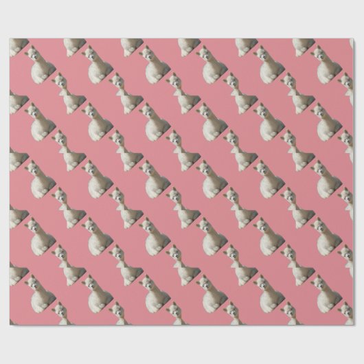 Alpaka-Packpapier für Mädchen Geschenkpapier (Flach)