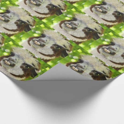 Alpaka-Packpapier Geschenkpapier (Ecke)