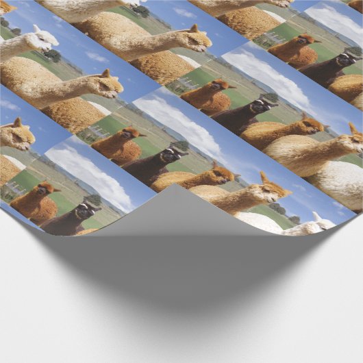 Alpaka-Packpapier Geschenkpapier (Ecke)