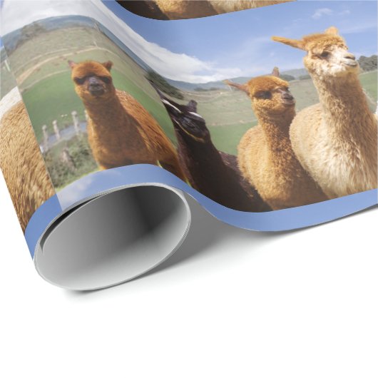 Alpaka-Packpapier Geschenkpapier (Rolleneckpunkt)