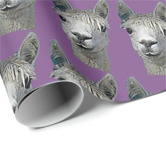 Alpaka-Papier auf Malvenfarbe Geschenkpapier (Rolleneckpunkt)