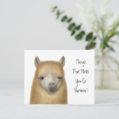 Alpaka-Party Einladung (Stehend Vorderseite)