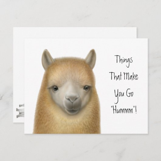 Alpaka-Party Einladung (Vorne/Hinten)