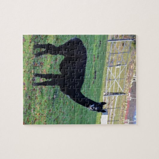 Alpaka Puzzle (Horizontal)