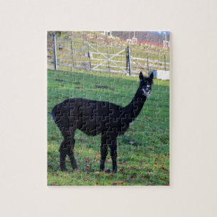 Alpaka Puzzle