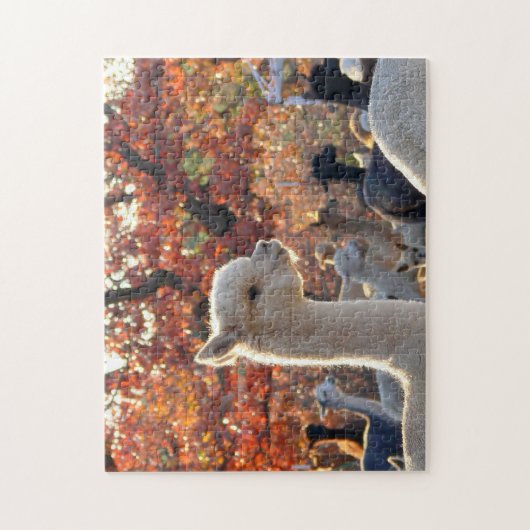 Alpaka-Puzzle Puzzle (Vertikal)