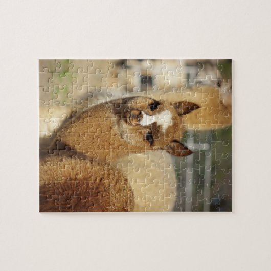 Alpaka-Puzzlespiel Juju Puzzle (Horizontal)