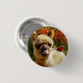 Alpaka-Rosen-Knopf Button (Vorne & Hinten)