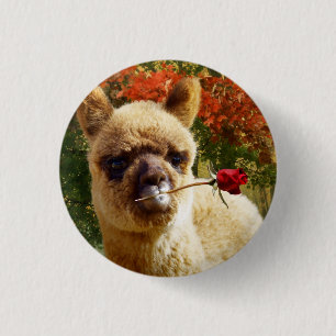 Alpaka-Rosen-Knopf Button