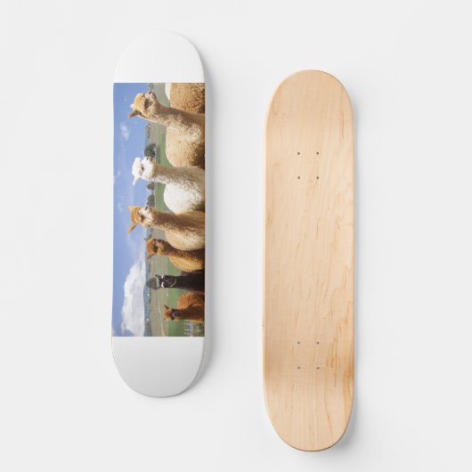 Alpaka-Skateboard Skateboard (Vorderseite)