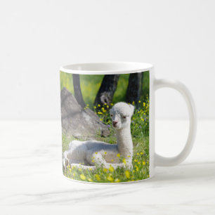 Alpaka-Tassen Kaffeetasse