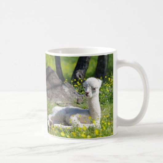 Alpaka-Tassen Kaffeetasse (Rechts)