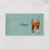 ALPAKA u. EULE Visitenkarte (Rückseite)