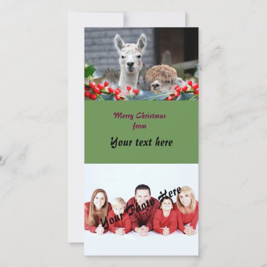 Alpaka-Weihnachten Feiertagskarte (Vorderseite)