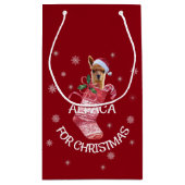 Alpaka-Weihnachtsgeschenk-Tasche Kleine Geschenktüte (Rückseite)