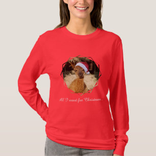 Alpaka-WeihnachtsT - Shirt